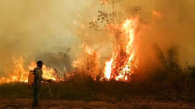 Suman más voces que exigen al Gobierno declarar desastre nacional por